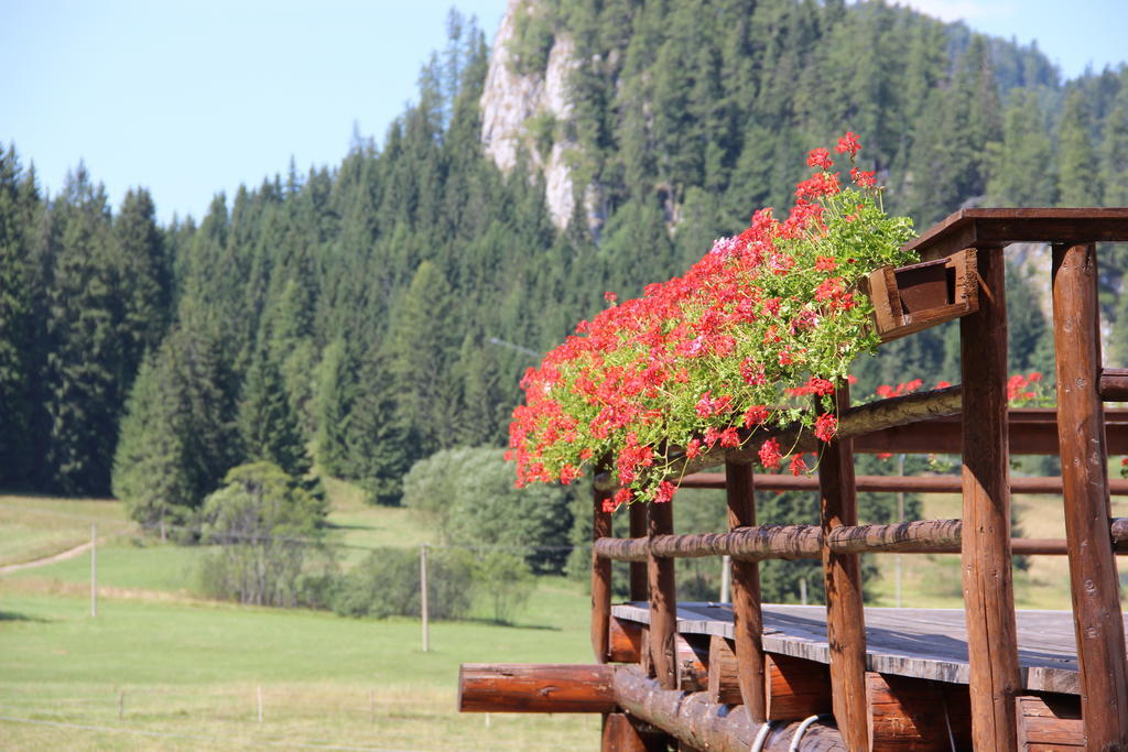 Penzión Ľadová Stratená Exterior foto